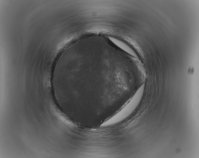 X0000091950399200709201327