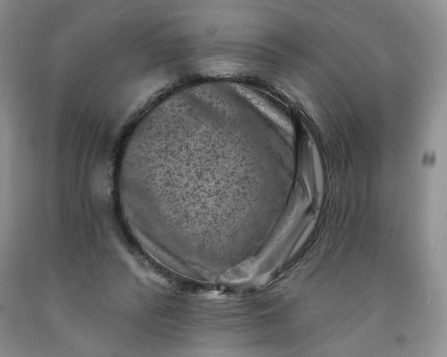 X0000091950400200709201327