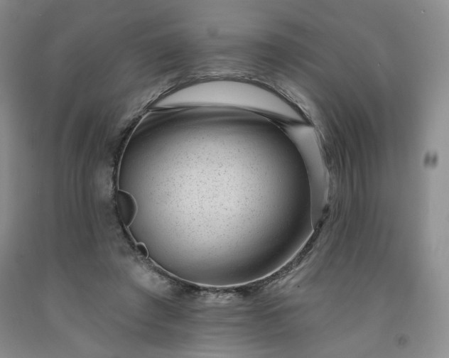 X0000091950401200709201327