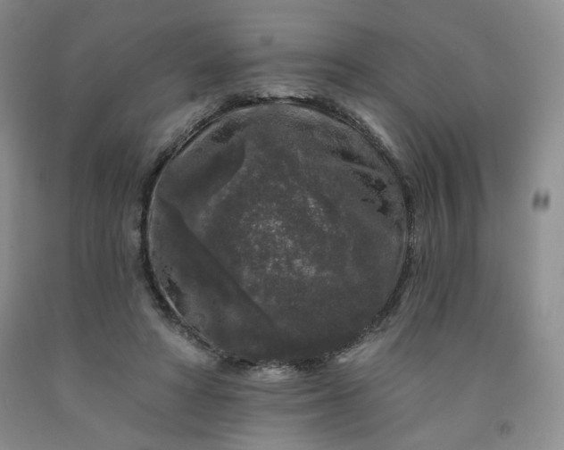 X0000091950402200709201327