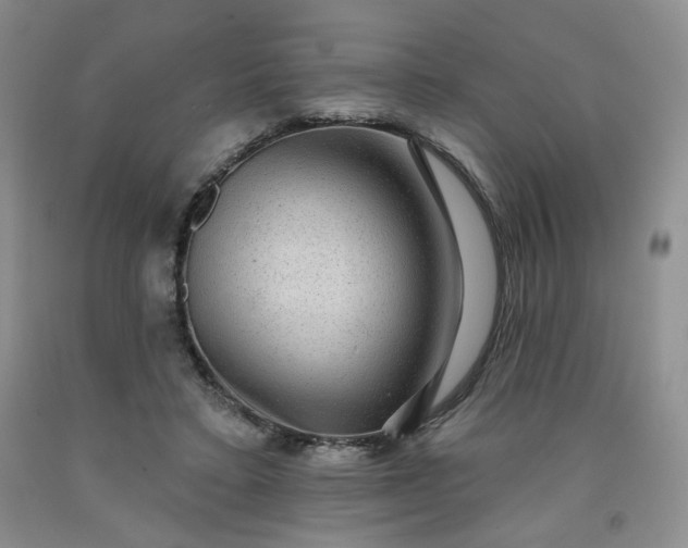 X0000091950403200709201327