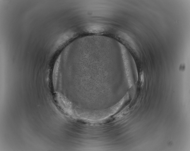 X0000091950404200709201327