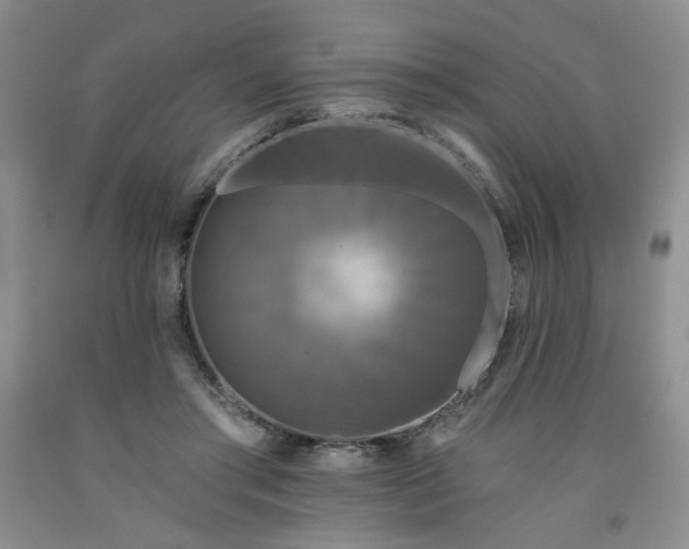 X0000091950405200709201327