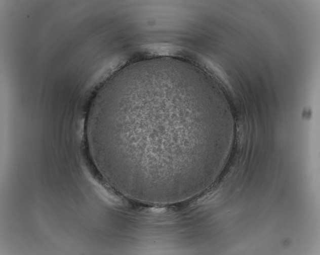 X0000091950406200709201327