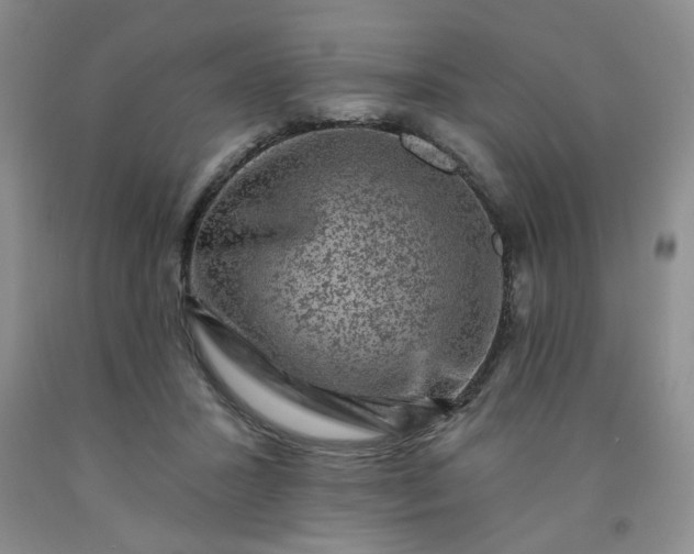 X0000091950407200709201327