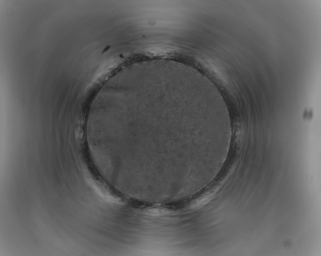 X0000091950408200709201327