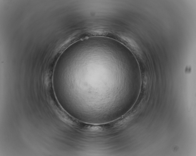 X0000091950409200709201327