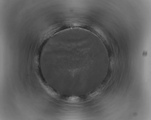 X0000091950410200709201327