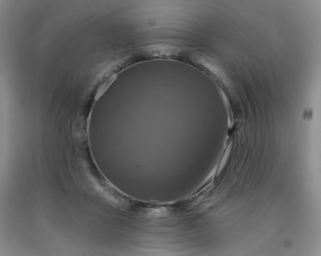 X0000091950411200709201327