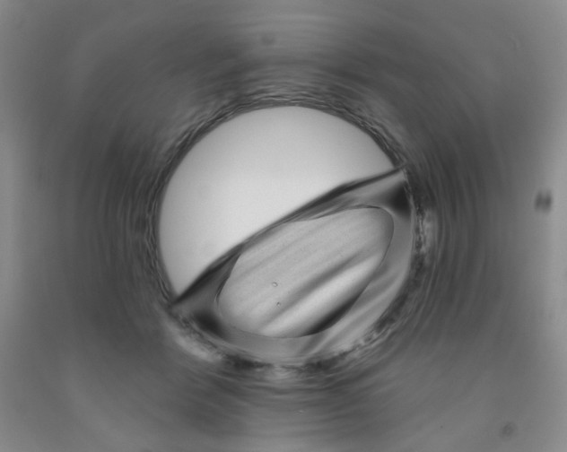 X0000091950412200709201327