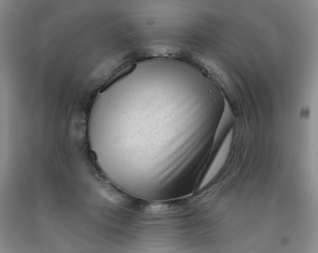 X0000091950413200709201327