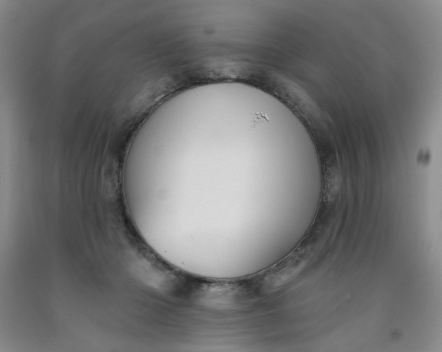 X0000091950414200709201327