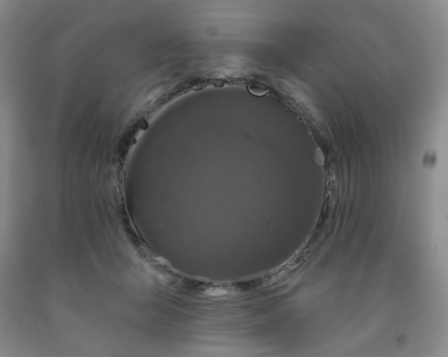 X0000091950415200709201326