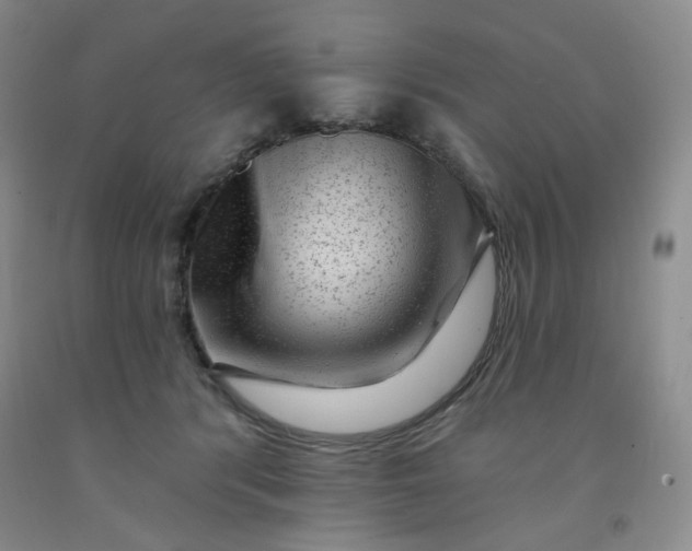 X0000091950416200709201326