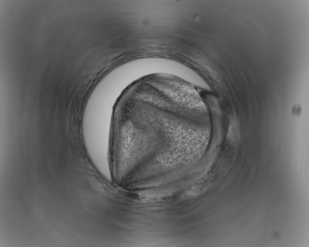 X0000091950417200709201326