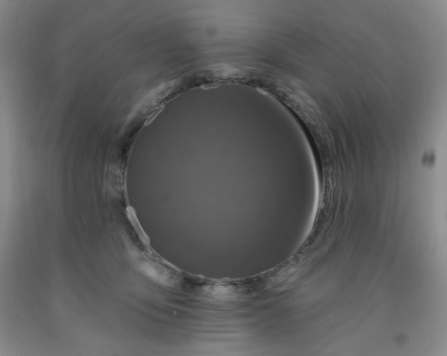 X0000091950419200709201326