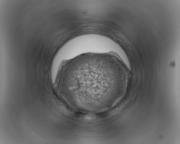 X0000091950420200709201326