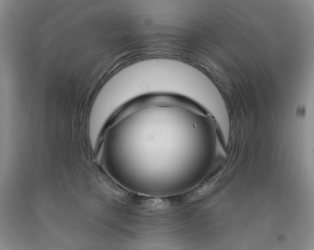 X0000091950421200709201326