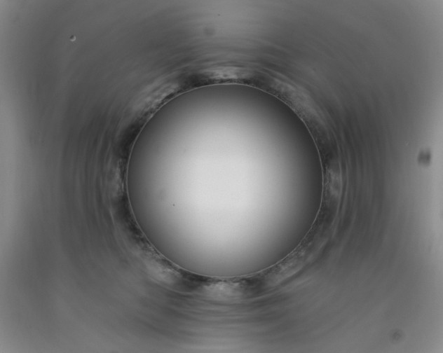 X0000091950422200709201326