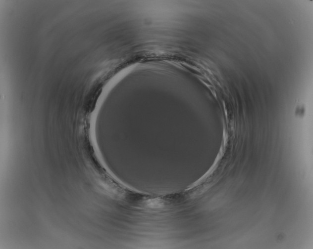 X0000091950423200709201326