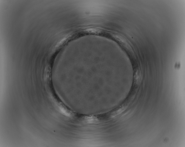 X0000091950424200709201326