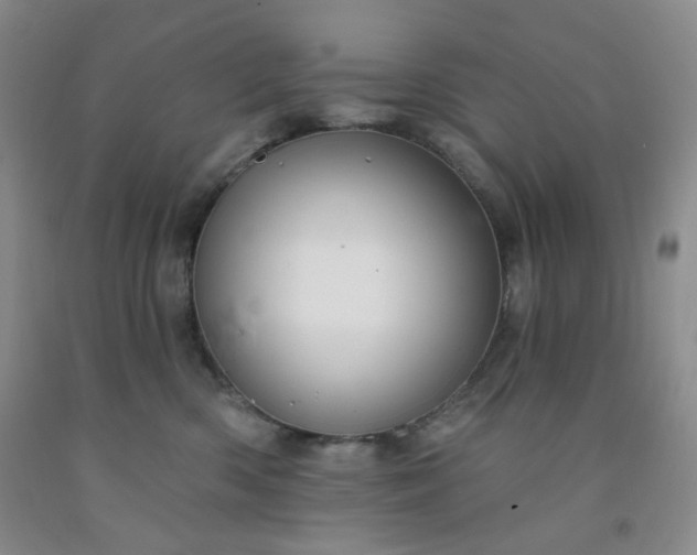 X0000091950426200709201326