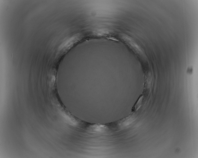 X0000091950427200709201326