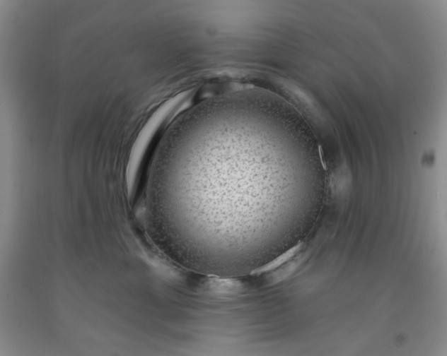 X0000091950429200709201326