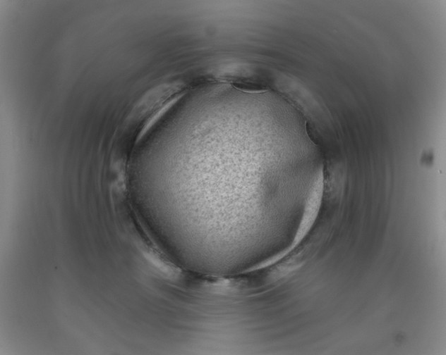 X0000091950430200709201326