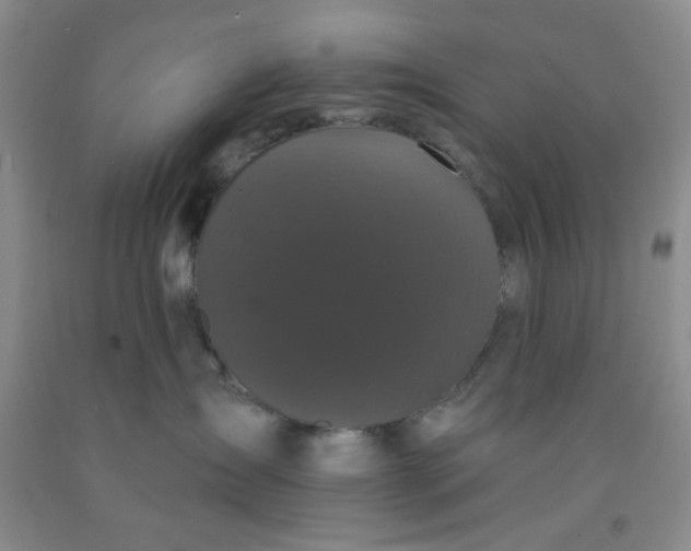 X0000091950431200709201326