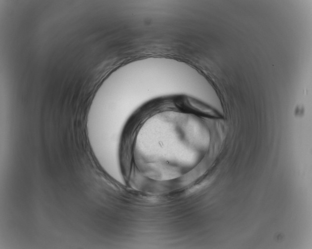 X0000091950432200709201326