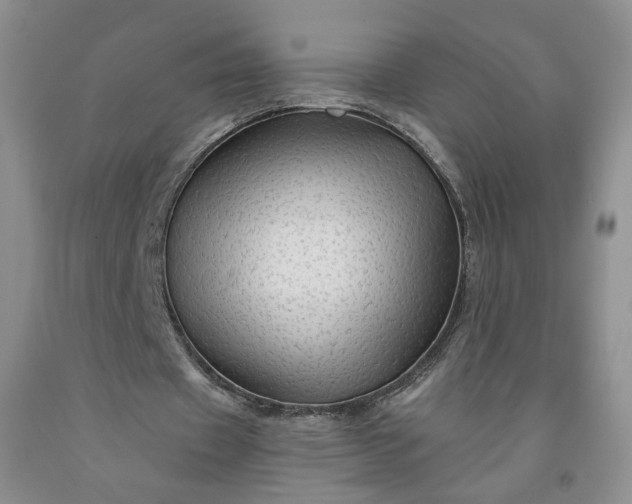 X0000091950433200709201326