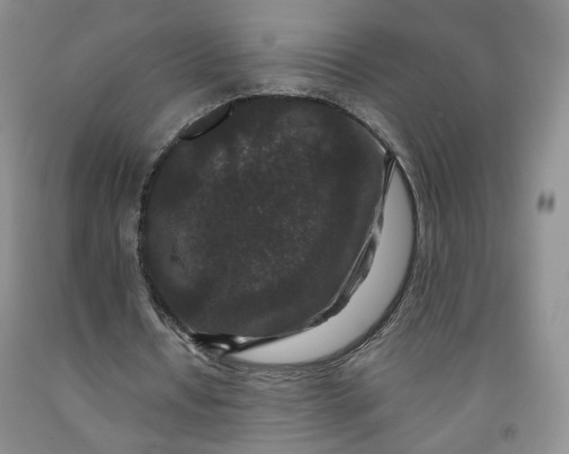 X0000091950434200709201326