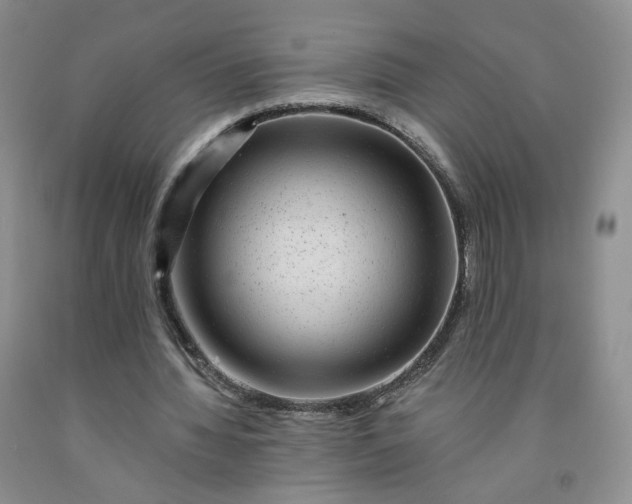 X0000091950436200709201326