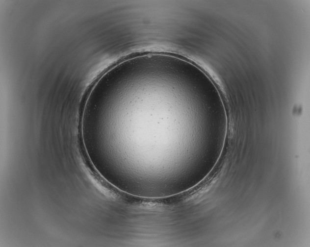 X0000091950437200709201326