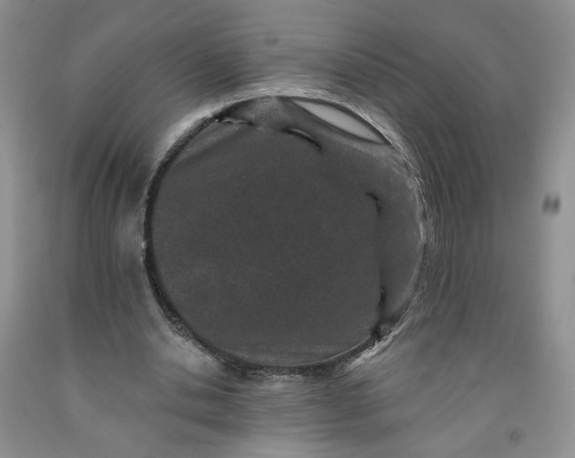 X0000091950438200709201326