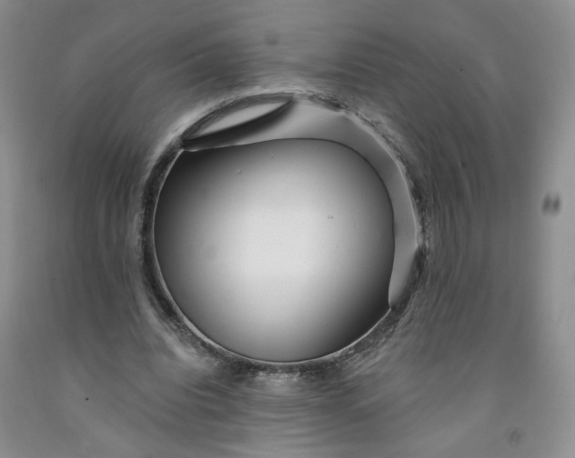 X0000091950440200709201326