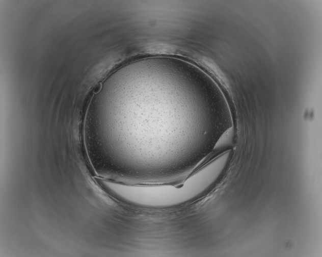 X0000091950441200709201326