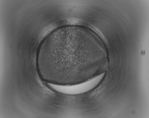 X0000091950442200709201326