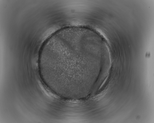 X0000091950443200709201326