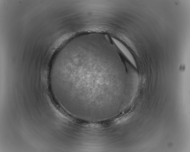 X0000091950444200709201326