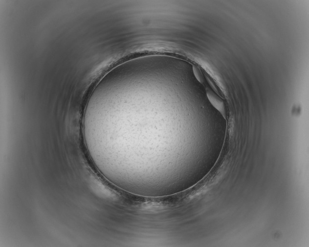 X0000091950445200709201326