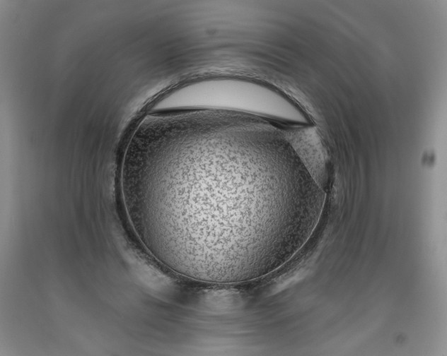 X0000091950446200709201326