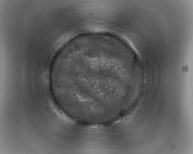 X0000091950447200709201326