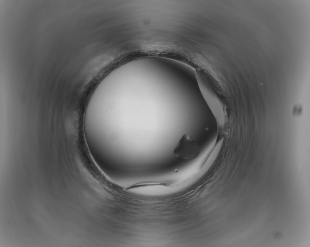 X0000091950448200709201326