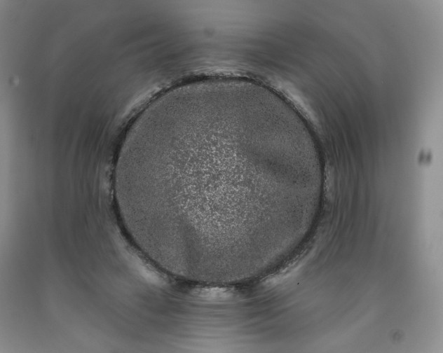 X0000091950449200709201326