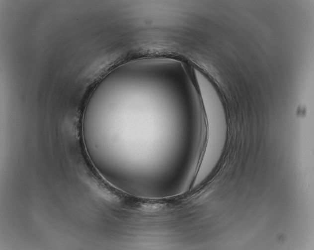 X0000091950450200709201326