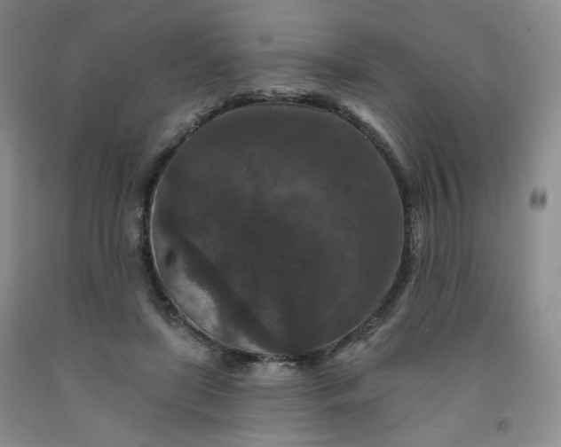 X0000091950451200709201326