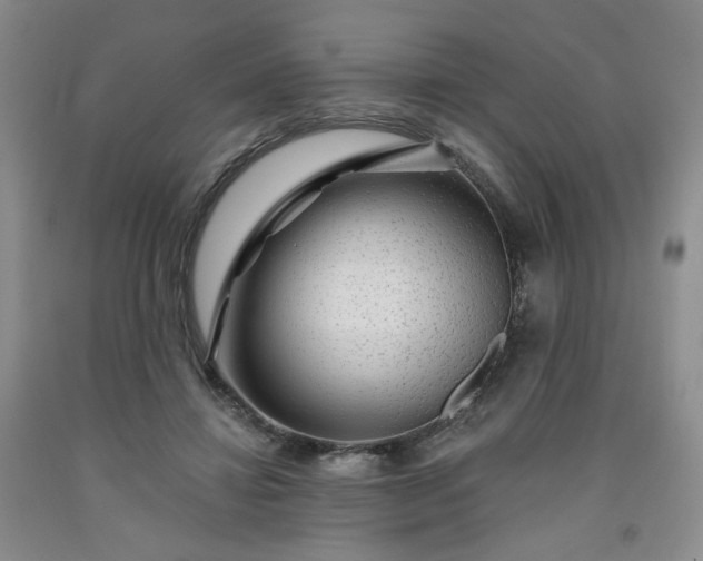 X0000091950452200709201326