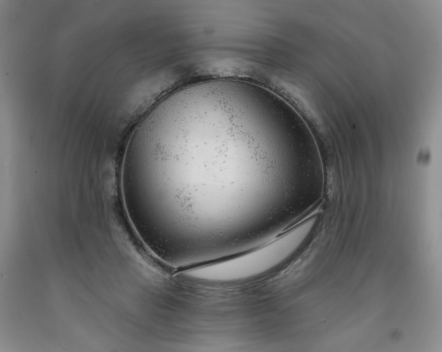 X0000091950453200709201326